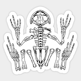 froggy skeleton Sticker